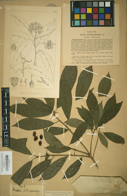 LE 01025451