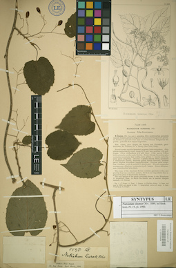 LE 01025454