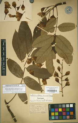 LE 01025458