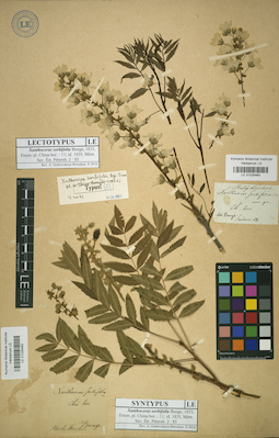 LE 01025463