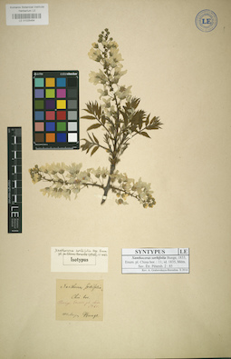 LE 01025464