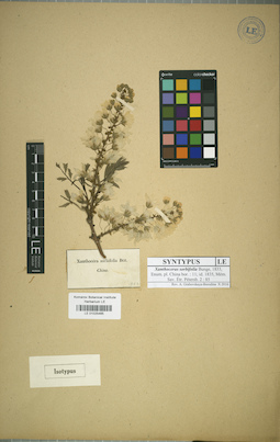 LE 01025465