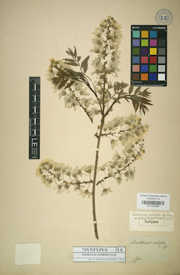 LE 01025466