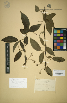 LE 01025472