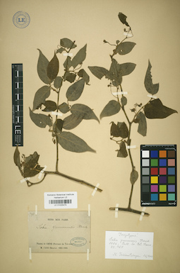 LE 01025474