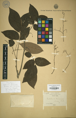LE 01025475