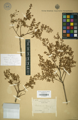 LE 01025476