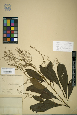 LE 01025478
