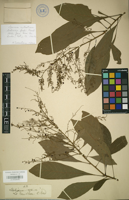 LE 01025479