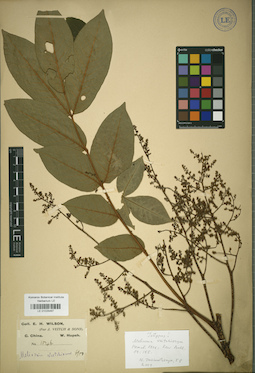 LE 01025487