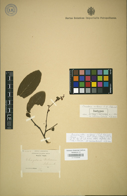 LE 01025508