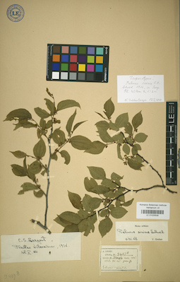 LE 01025509