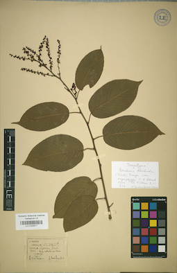 LE 01025511