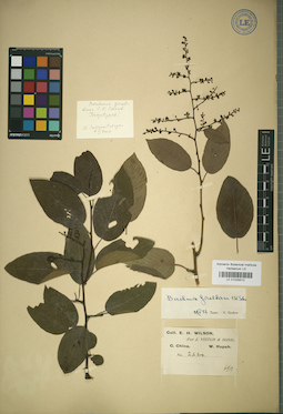 LE 01025512