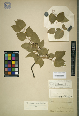 LE 01025522