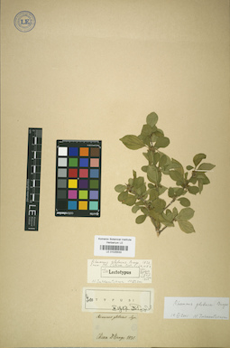 LE 01025533
