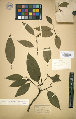 LE 01025534