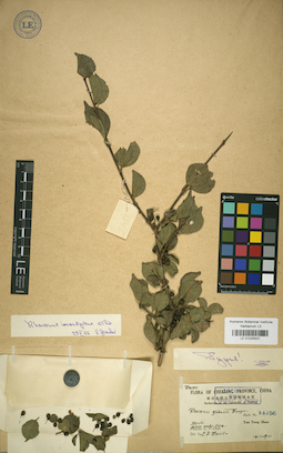 LE 01025537