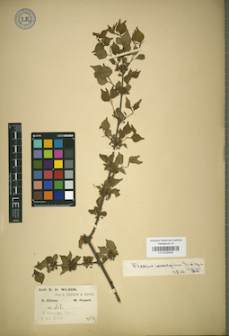 LE 01025538