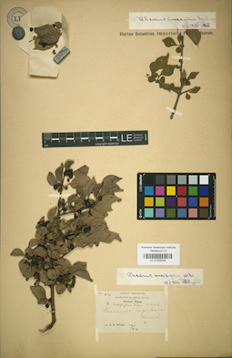 LE 01025539