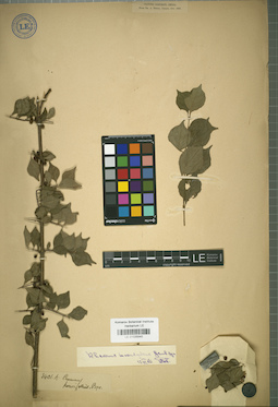 LE 01025540