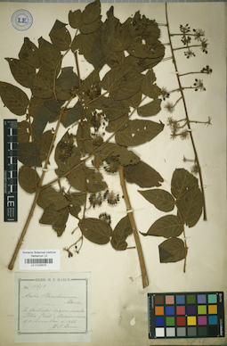 LE 01025576