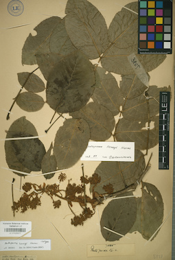 LE 01025577