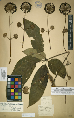 LE 01025579