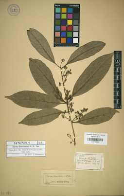 LE 01025581
