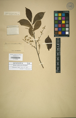 LE 01025583
