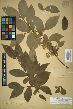 LE 01025584