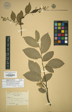 LE 01025585