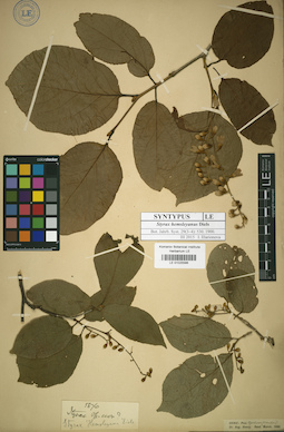 LE 01025586