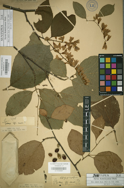LE 01025588