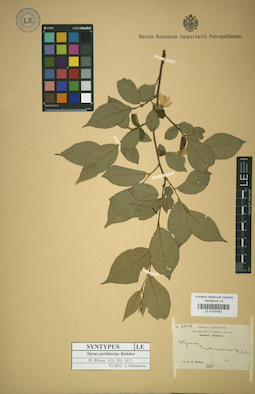 LE 01025592