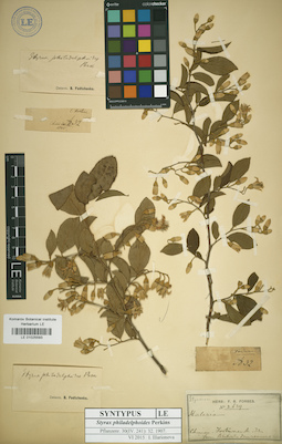 LE 01025593