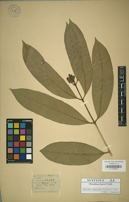 LE 01025597