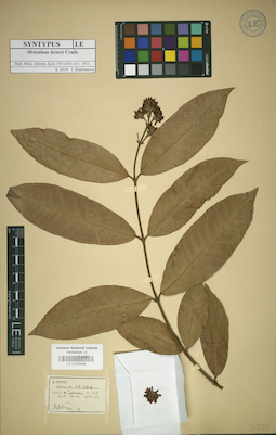 LE 01025598