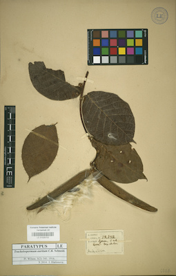 LE 01025702