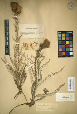 LE 01025705