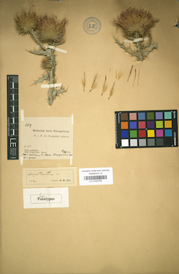 LE 01025706