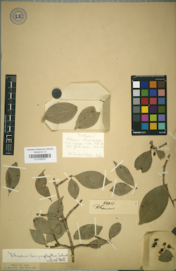 LE 01025707