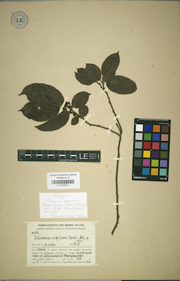 LE 01025714