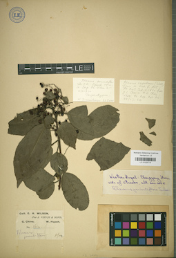 LE 01025715