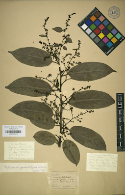 LE 01025717