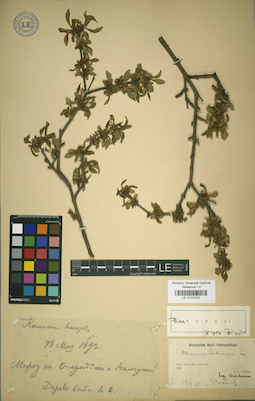 LE 01025722
