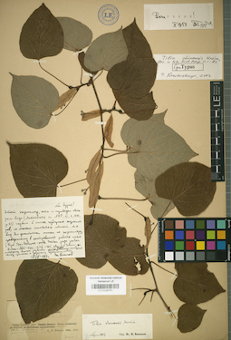 LE 01025751