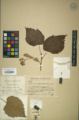 LE 01025757