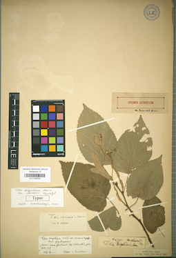 LE 01025762