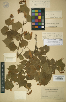 LE 01025766